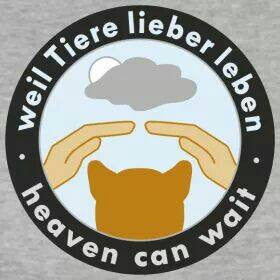 Petburry unterstützt "Weil Tiere lieber leben e.V."